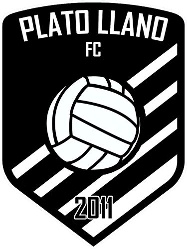 PLATO LLANO